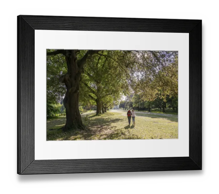 Framed Print : Park, Royal Botanic Gardens (Kew Gardens)