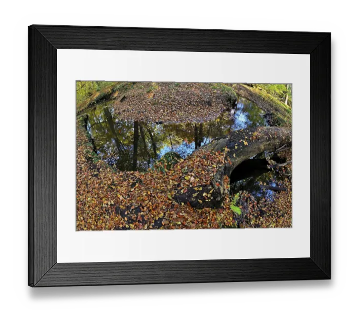 Framed Print : Curvy Rotbach in the autumnal Hiesfeld Forest Framed Print : Curvy Rotbach in the autumnal Hiesfeld Forest