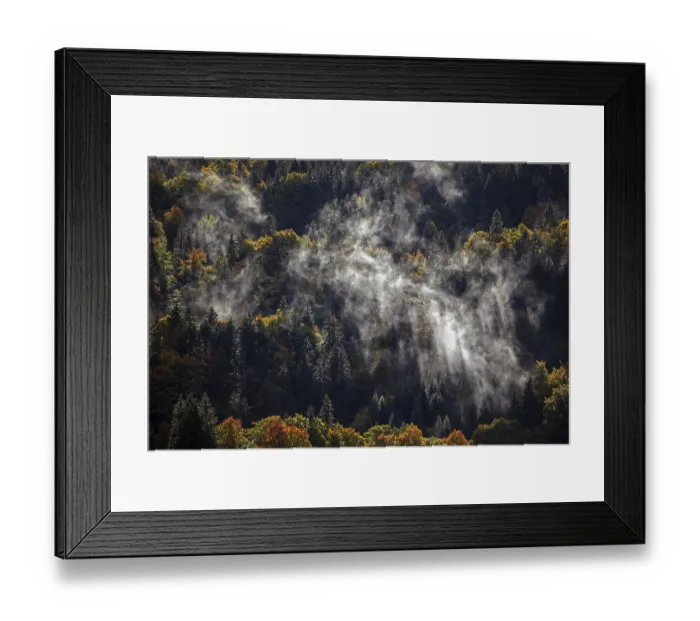 Framed Print : Morning mist in autumn forest, Oberstdorf Framed Print : Morning mist in autumn forest, Oberstdorf