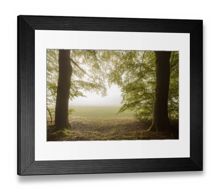 Framed Print : Forest edge with morning mist in autumn Framed Print : Forest edge with morning mist in autumn