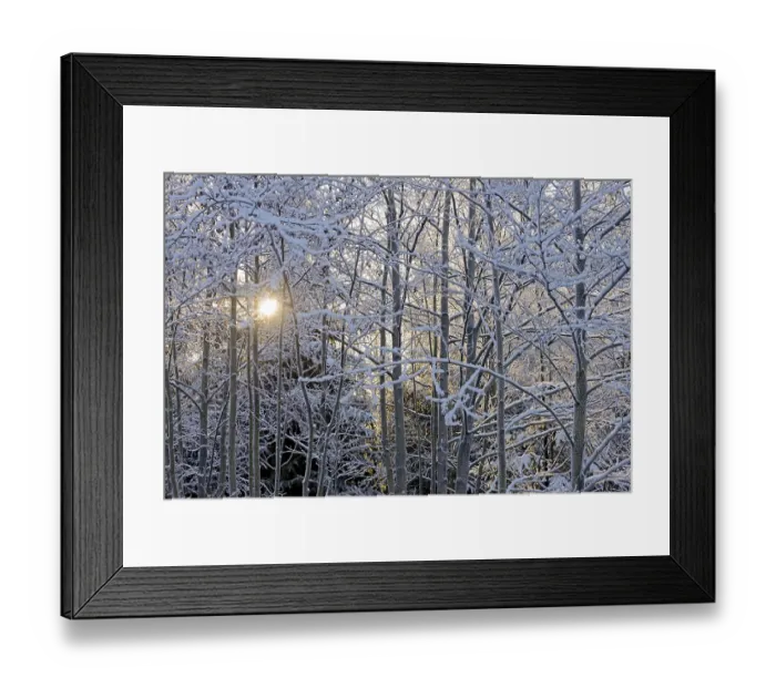 Framed Print : Winter landscape, trees covered with snow Framed Print : Winter landscape, trees covered with snow