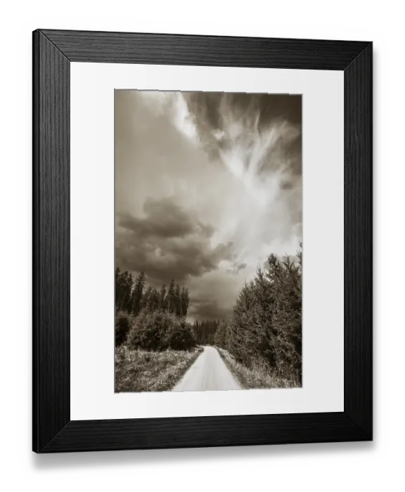 Framed Print : Sepia-coloured, forest path through a coniferous forest with threatening storm clouds in the sky