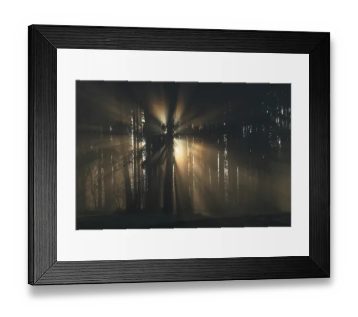 Framed Print : Sunrays break through the wood in the morning