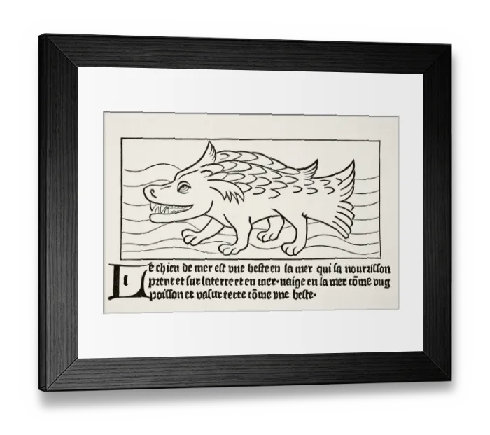 Framed Print : The seal after a wood engraving in Dyalogue des Creatures