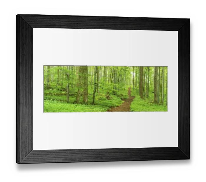Framed Print : Hiking trail through near-natural deciduous forest in spring