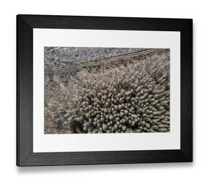 Framed Print : Area in the Arnsberg Forest near Warstein-Sichtigvor