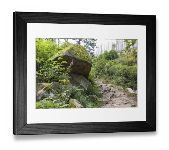 Framed Print : Hiking trail along the Ilse in the Ilse valley