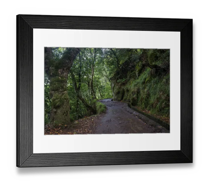 Framed Print : PR11 Vereda dos Balcoes hiking trail through laurel forest to the Miradouro Balcoes viewpoint