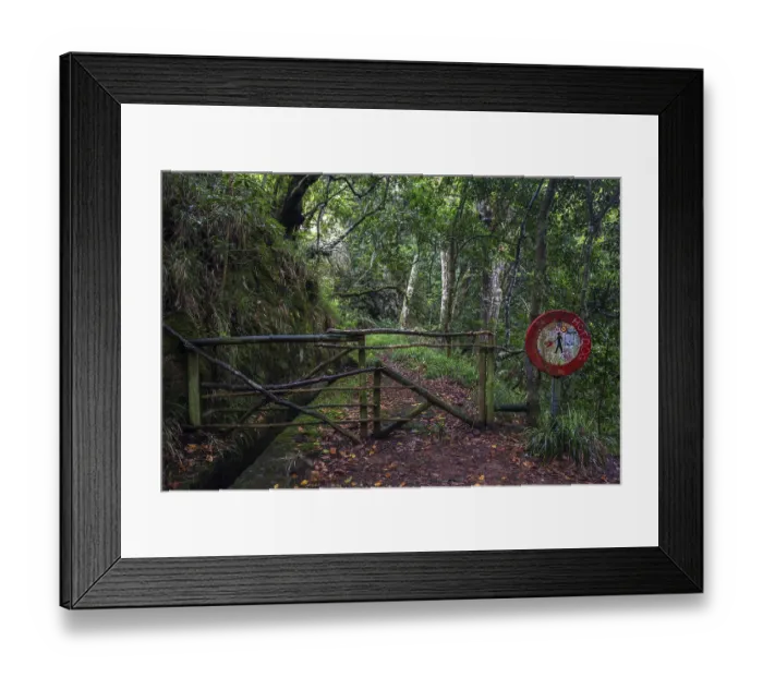 Framed Print : Closed path on the PR11 Vereda dos Balcoes hiking trail through laurel forest to the Miradouro Balcoes viewpoint