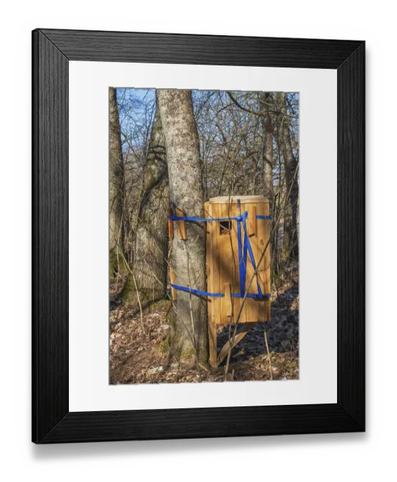 Framed Print : Wooden box as an insect hotel to help rare beetles on a tree in the forest