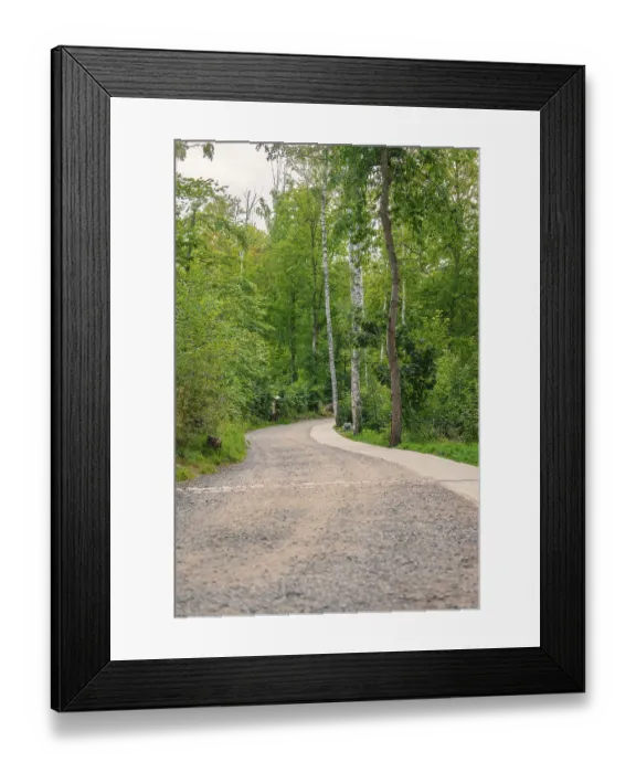 Framed Print : Forest path surrounded by tall trees and dense nature