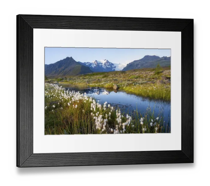 Framed Print : Reflection in a river with cotton grass Framed Print : Reflection in a river with cotton grass