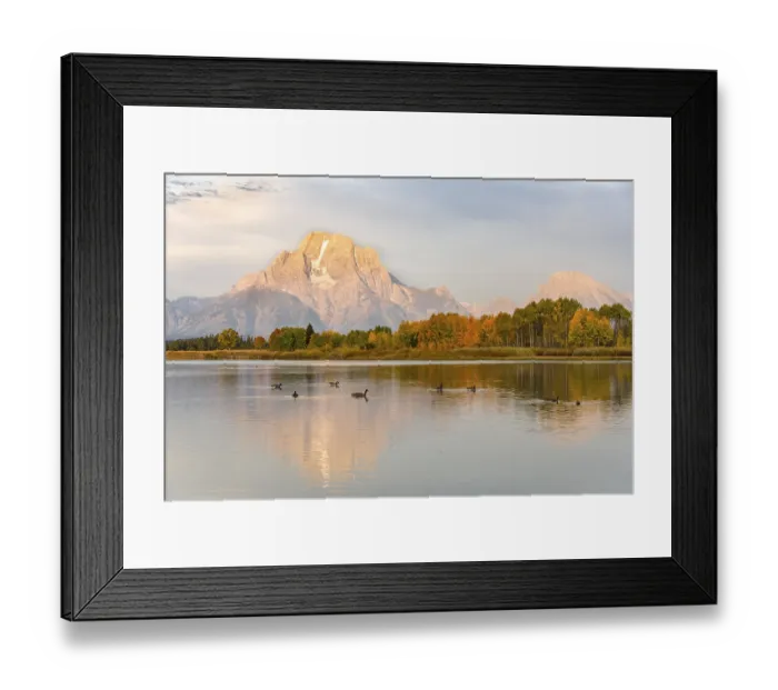 Framed Print : Mount Moran reflected in Snake River