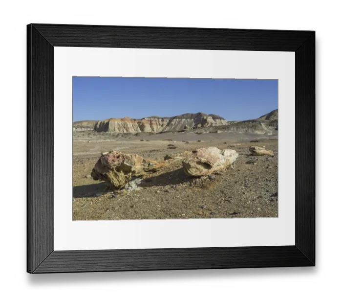 Framed Print : Petrified forest Bosque Petrificado National Monument