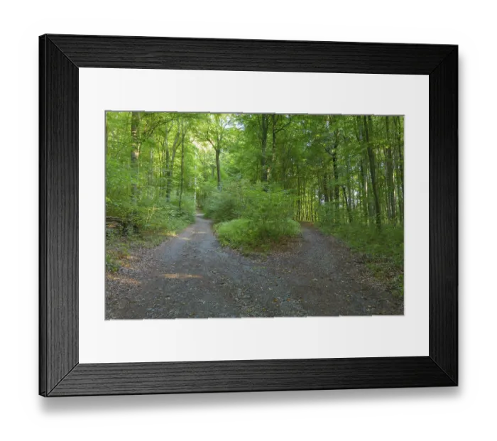 Framed Print : Forked forest road, Waldbrunn, Baden-Wurttemberg Framed Print : Forked forest road, Waldbrunn, Baden-Wurttemberg