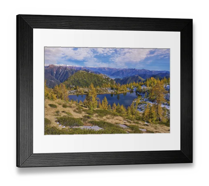 Framed Print : Mountain lake surrounded by autumnal larches Framed Print : Mountain lake surrounded by autumnal larches