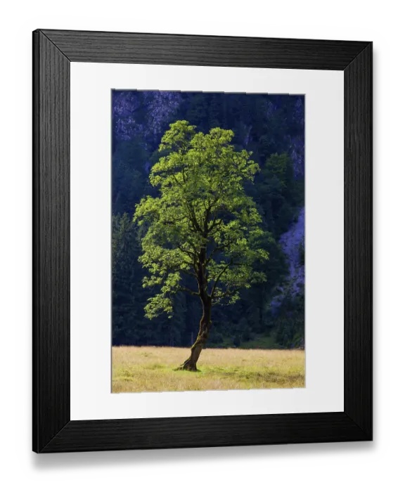 Framed Print : Nature conservancy area Grosser Ahornboden