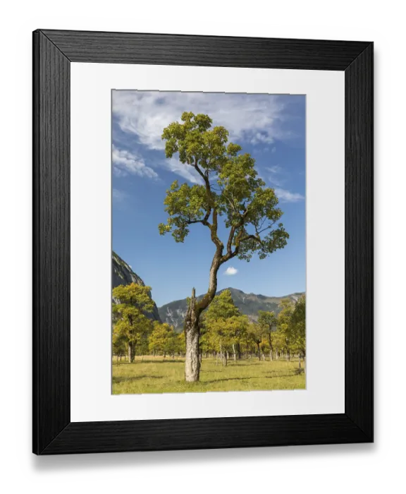 Framed Print : Nature conservancy area Grosser Ahornboden