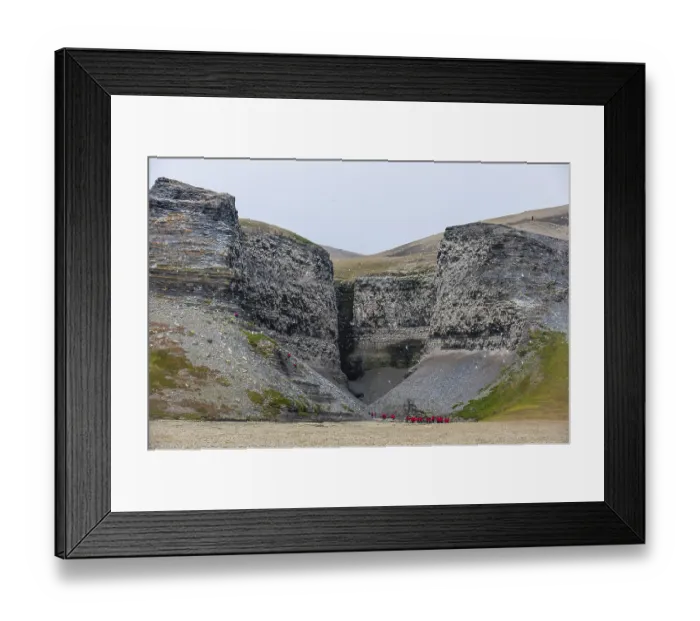 Framed Print : Tourists at the cliffs at Diskobukta with black-legged Kittiwakes (Rissa tridactyla) Framed Print : Tourists at the cliffs at Diskobukta with black-legged Kittiwakes (Rissa tridactyla)