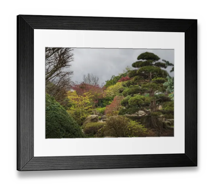 Framed Print : Landscape, park, trees, shrubs