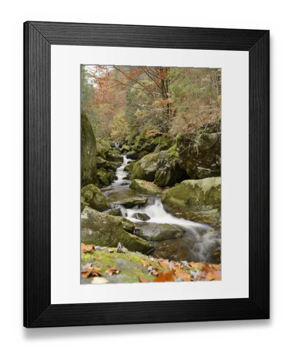 Framed Print : Winding stream flowing through a forest surrounded by leaves and moss-covered rocks