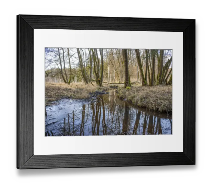 Framed Print : Winterladscape of a swamp with water and trees Framed Print : Winterladscape of a swamp with water and trees