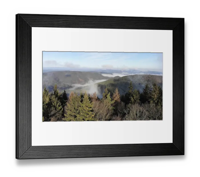 Framed Print : Aerial view of the Palatinate Forest in autumn