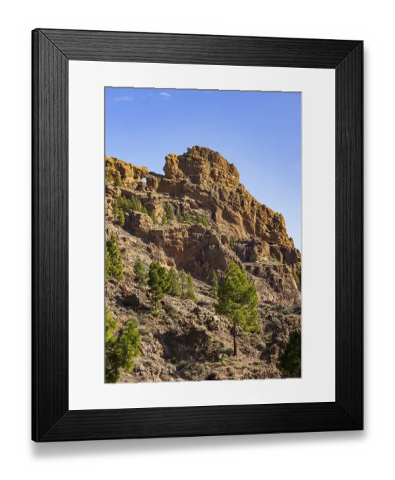 Framed Print : Pine forest around the summit of Pico de las Nieves