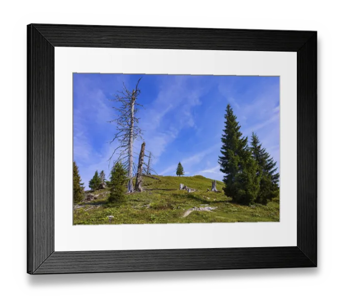 Framed Print : Hiking trail to the summit of the Taborberg Framed Print : Hiking trail to the summit of the Taborberg