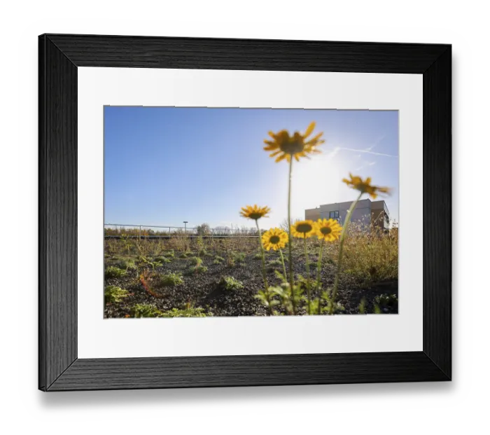 Framed Print : Bochum, North Rhine-Westphalia Framed Print : Bochum, North Rhine-Westphalia
