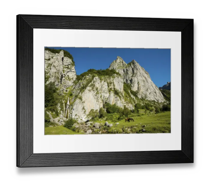 Framed Print : Mountain landscape and semi-wild horses