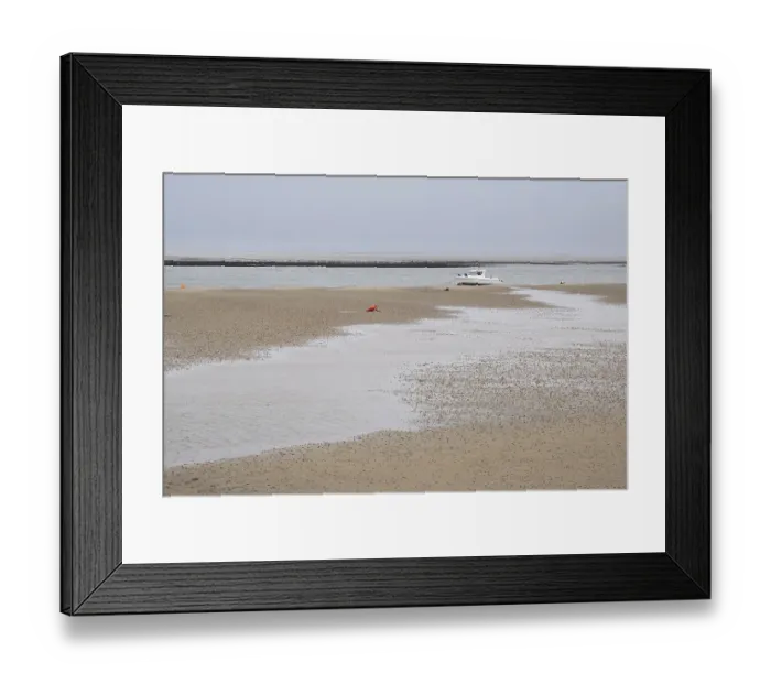 Framed Print : Wadden Sea at low tide with numerous piles of lugworms Framed Print : Wadden Sea at low tide with numerous piles of lugworms