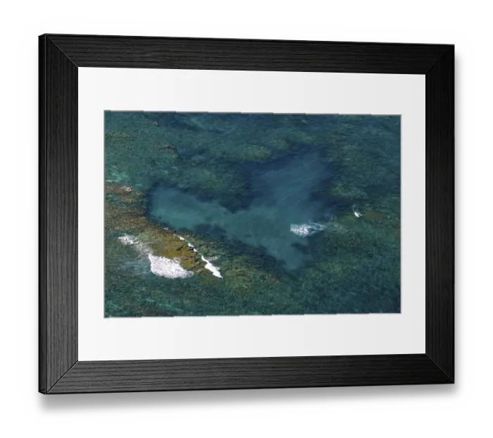 Framed Print : Heart-shaped coral, Ningaloo Reef