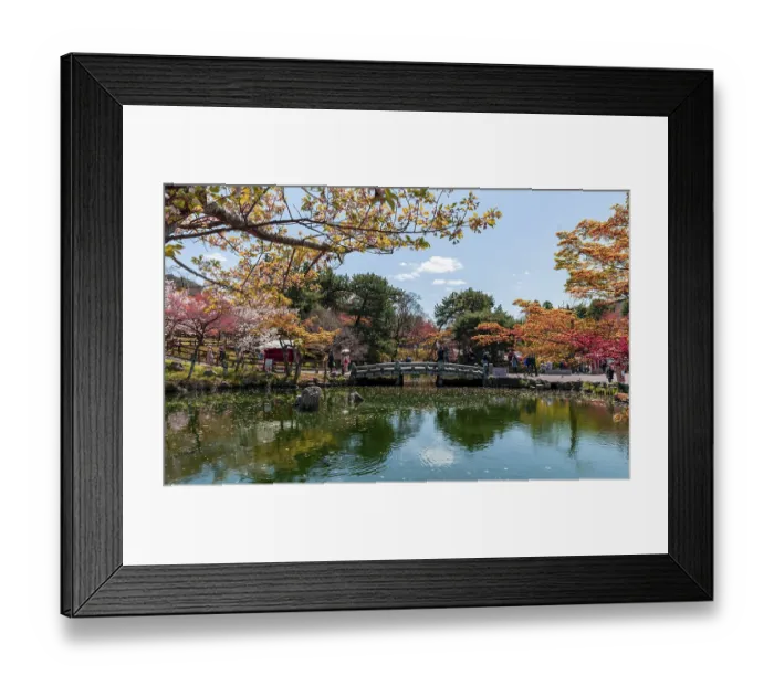 Framed Print : Bridge over a pond in Maruyama Park Framed Print : Bridge over a pond in Maruyama Park