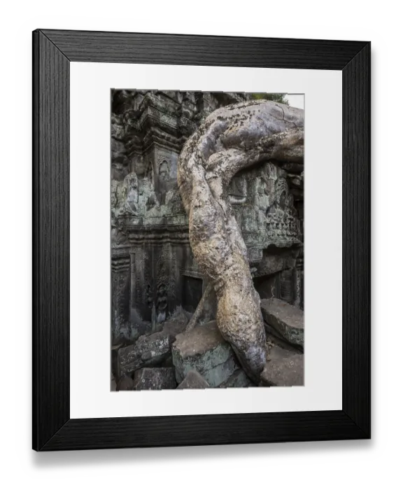 Framed Print : Ta Prohm, Angkor Wat, Angkor, UNESCO World Heritage Site
