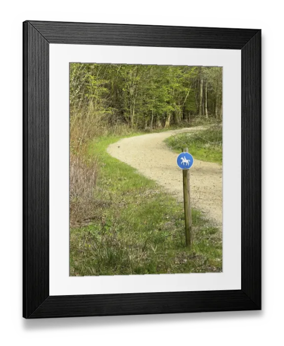 Framed Print : Sign for riders in front of designated signposted bridle path with soft sandy ground leading through mixed forest Framed Print : Sign for riders in front of designated signposted bridle path with soft sandy ground leading through mixed forest