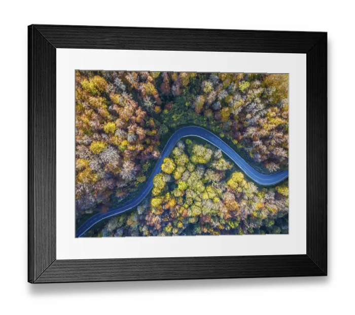 Framed Print : Winding country road through a forest with autumn-coloured trees Framed Print : Winding country road through a forest with autumn-coloured trees