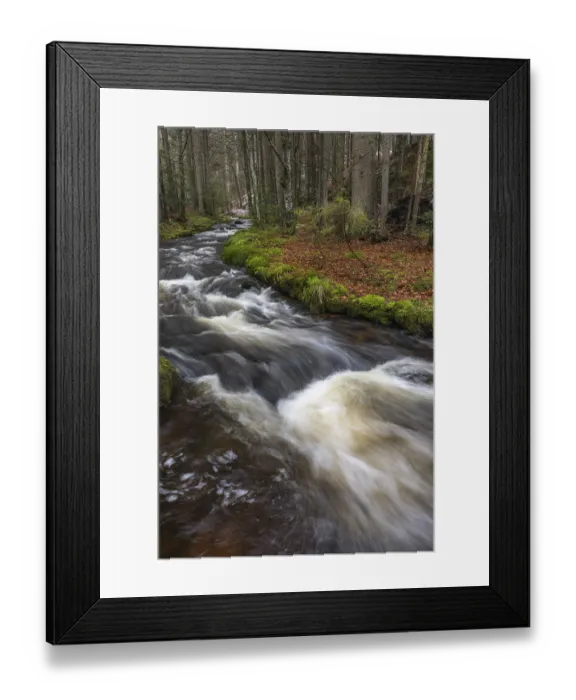 Framed Print : Kleine Ohe creek below Waldhaeuser village in the Bavarian Forest Nationalpark