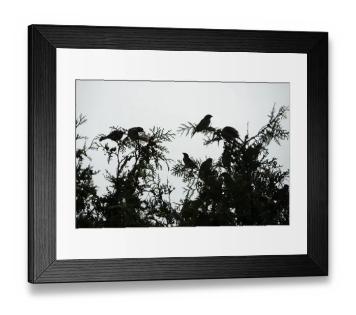 Framed Print : Kellerwald-Edersee National Park in late summer