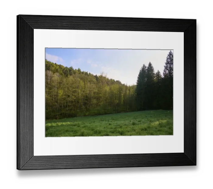 Framed Print : Meadow, forest, deciduous trees