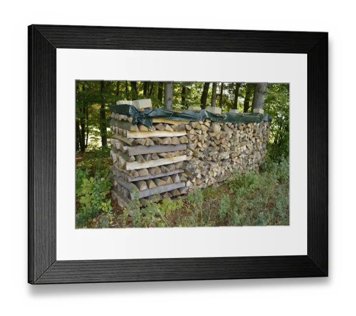 Framed Print : Stack of firewood neatly piled and covered in a forest setting Framed Print : Stack of firewood neatly piled and covered in a forest setting