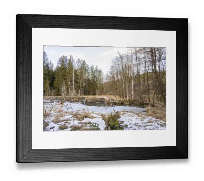 Framed Print : Winterladscape of a swamp with ice Framed Print : Winterladscape of a swamp with ice