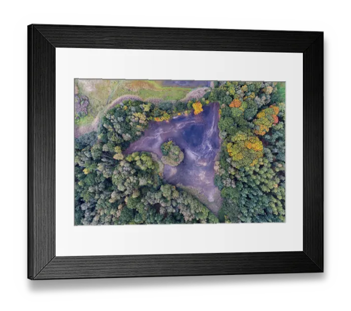 Framed Print : Mixed forest in autumn, colouring