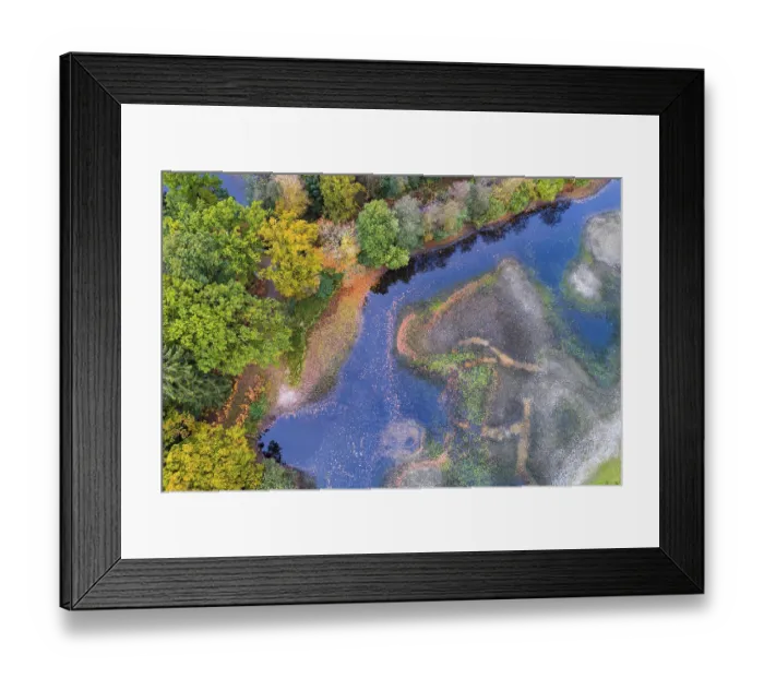 Framed Print : Mixed forest in autumn, colouring Framed Print : Mixed forest in autumn, colouring