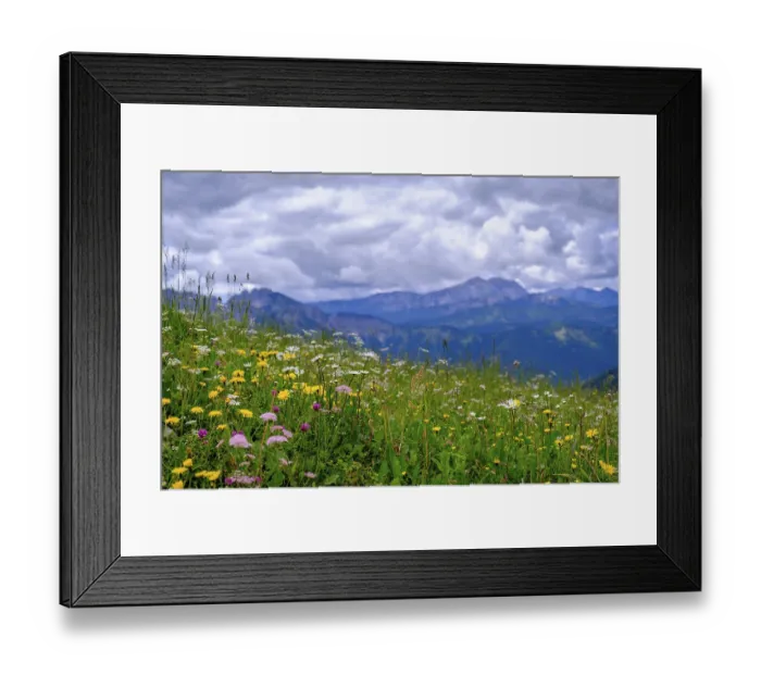 Framed Print : Stuempflingalmen on the way to Rosskopf