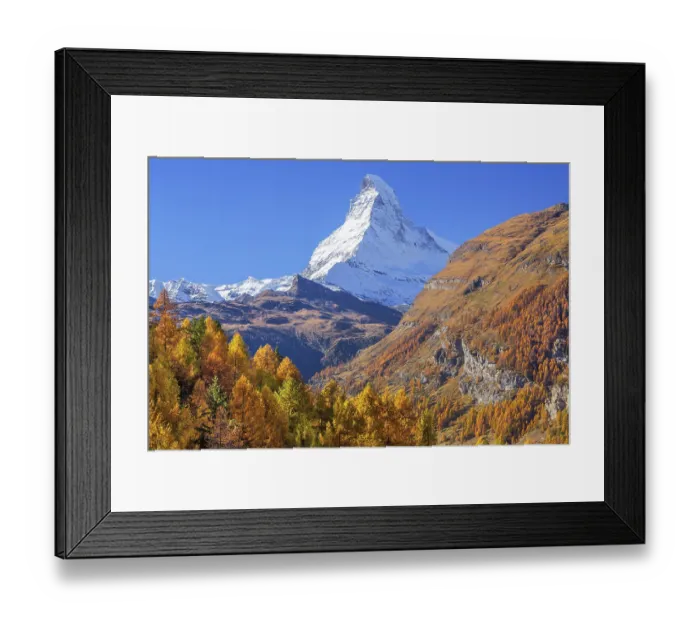 Framed Print : Autumn view of the Matterhorn 4478m and golden yellow larches