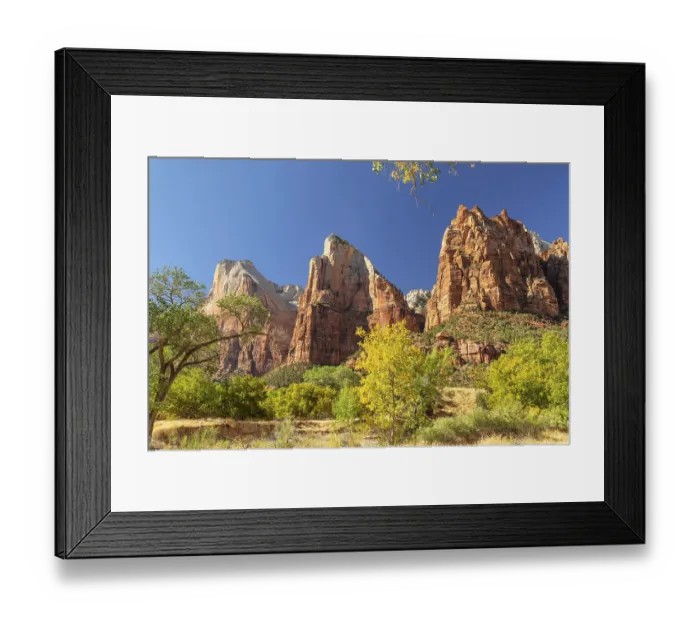 Framed Print : Court of Patriarchs, Zion National Park