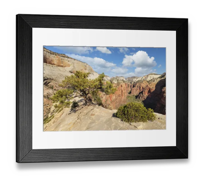 Framed Print : View of Zion Canyon from Angels Landing