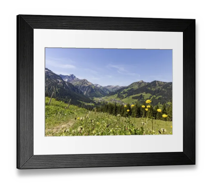 Framed Print : View down the valley to the village of Mittelberg with yellow flowers and mountain peaks in Kleinwalsertal Framed Print : View down the valley to the village of Mittelberg with yellow flowers and mountain peaks in Kleinwalsertal