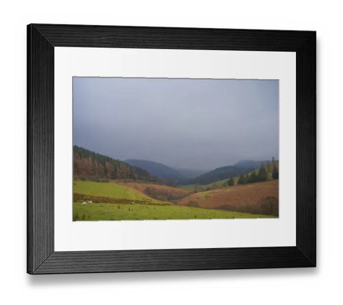 Framed Print : View of the valley and Whinlatter Forest in cloudy weather